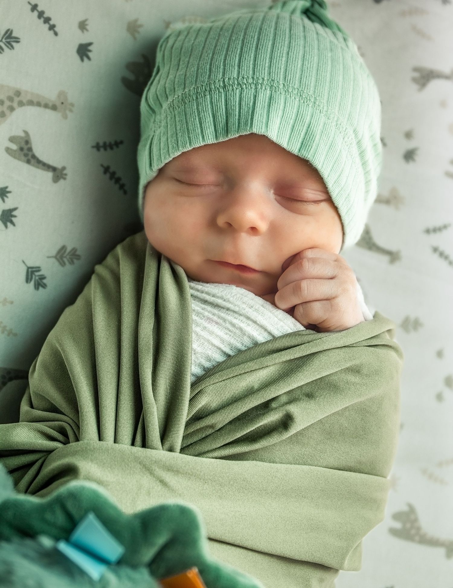 newborn baby peacefully sleeping wrapped in a green wrap in a photography studio
