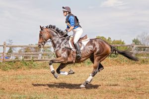 Plantation Field Horse Trails Galloping Cross Country