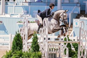 Devon Horse Show Hunter Jumpers