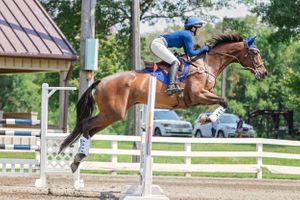 Horse Park of New Jersey Trials Show Jumping