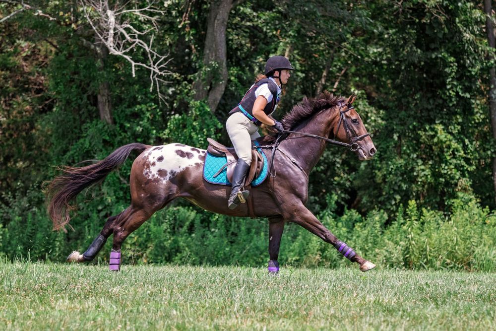 Horse Park of New Jersey Trials Cross Country