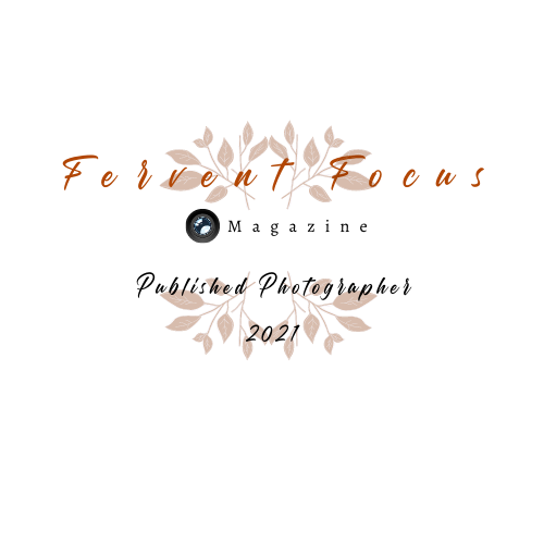 Decorative text design with orange autumn leaves and branches on black background.