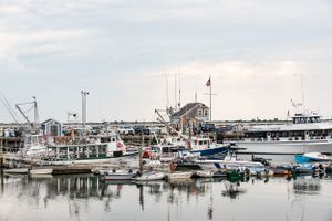Fishing boats and docks in a harbor with cloudy skies above.