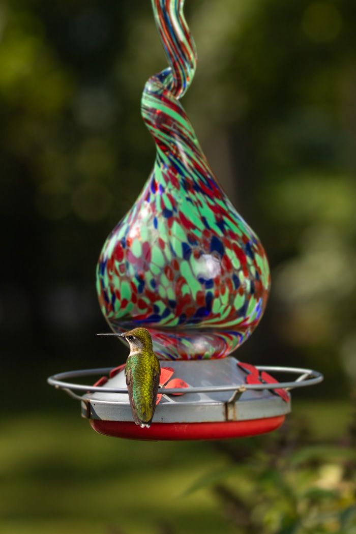 Colorful glass hummingbird feeder with intricate swirled patterns and a small bird perched on its base.
