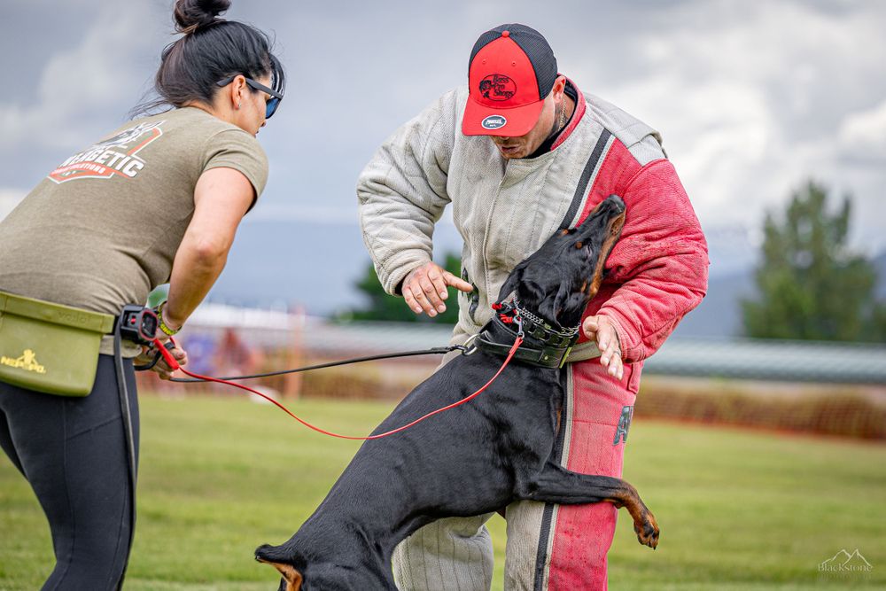 PSA K9 Dog Sport Photography. Montana Bite n Buck Trial 2023. RYP PSA Club