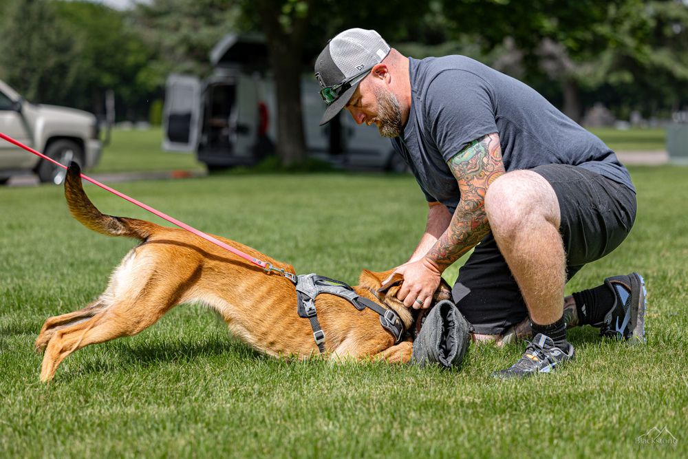 PSA K9 Dog Sport Photography. Montana Bite n Buck Trial 2023. RYP PSA Club