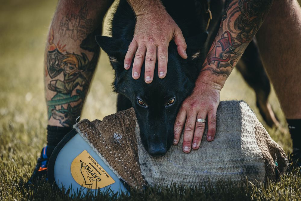 PSA K9 Dog Sport Photography. Montana Bite n Buck Trial 2023. RYP PSA Club
