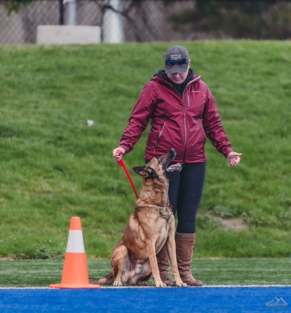 PSA K9 Dog Sport Photography, Salt City Hellhounds PSA Trial Wasatch Bitedown, Salt Lake City, Utah