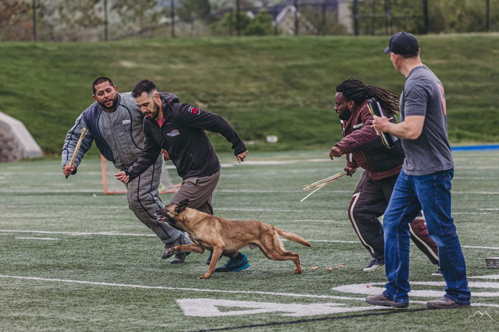 PSA K9 Dog Sport Photography, Salt City Hellhounds PSA Trial Wasatch Bitedown, Salt Lake City, Utah