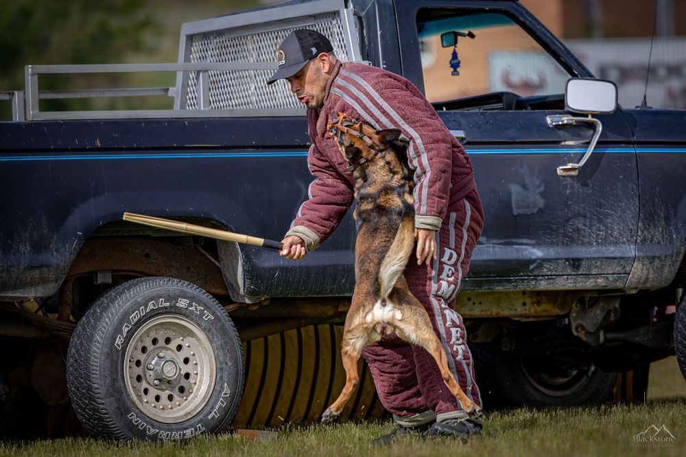 PSA K9 Dog Sport Photography. Montana Bite n Buck Trial 2023. RYP PSA Club