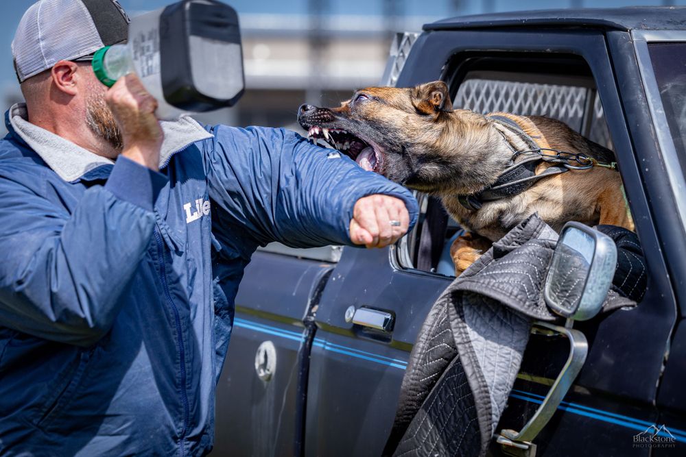 PSA K9 Dog Sport Photography. Montana Bite n Buck Trial 2023. RYP PSA Club
