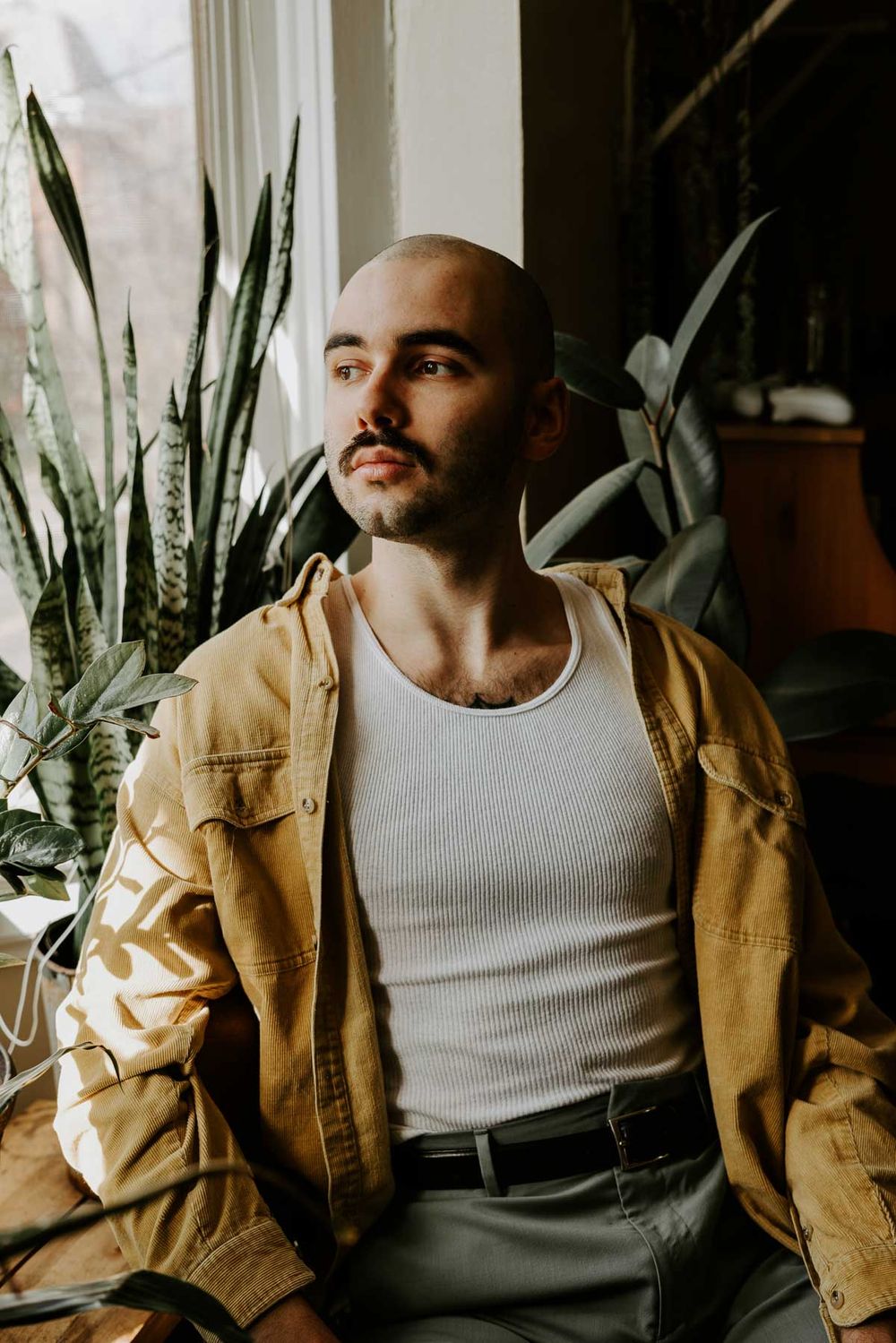 Person in casual attire sits by window with snake plants in background.