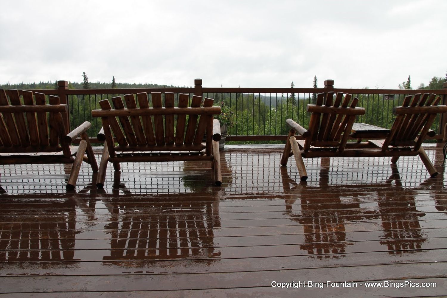 Mt. McKinley Princess Wilderness Lodge