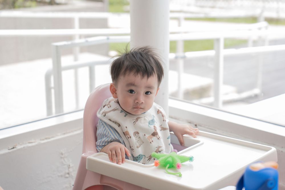 Child in high chair with green toy on tray.