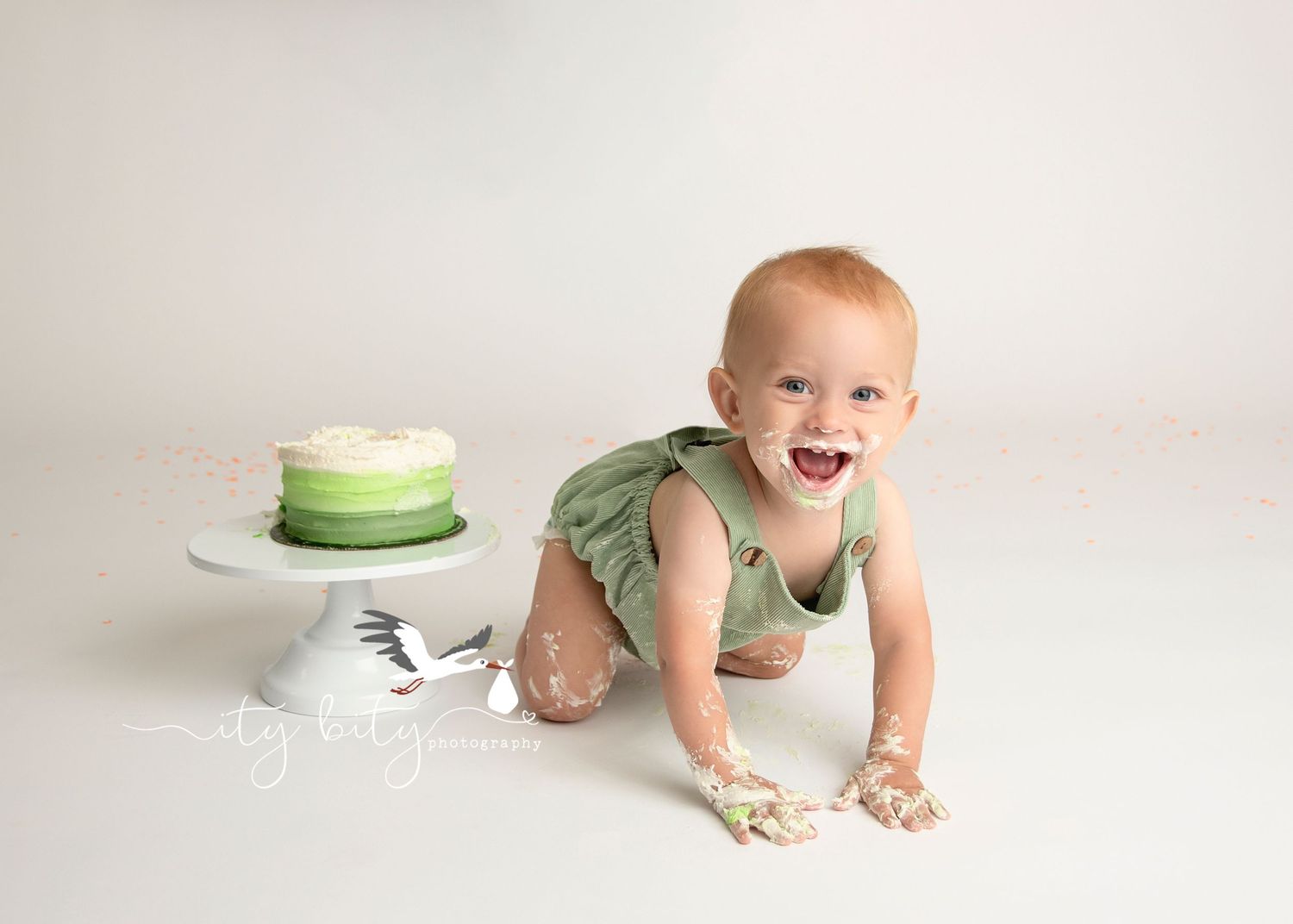 Green Neutral Cake Smash Dino Avon Ohio Photographer
