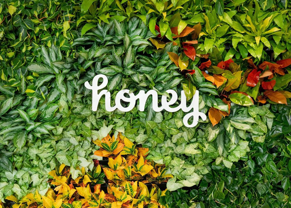 honey corporate office company logo in live plant wall