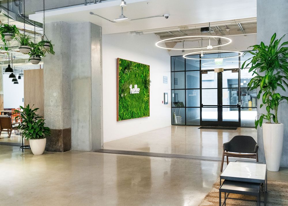 interior shot at honey corporate office in los angeles ca