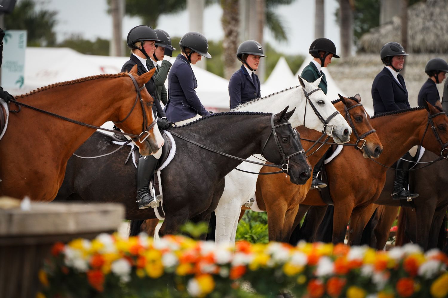 RK Equine Photography, Rachel Korthals, WEF, ESP, PBCHA, USHJA