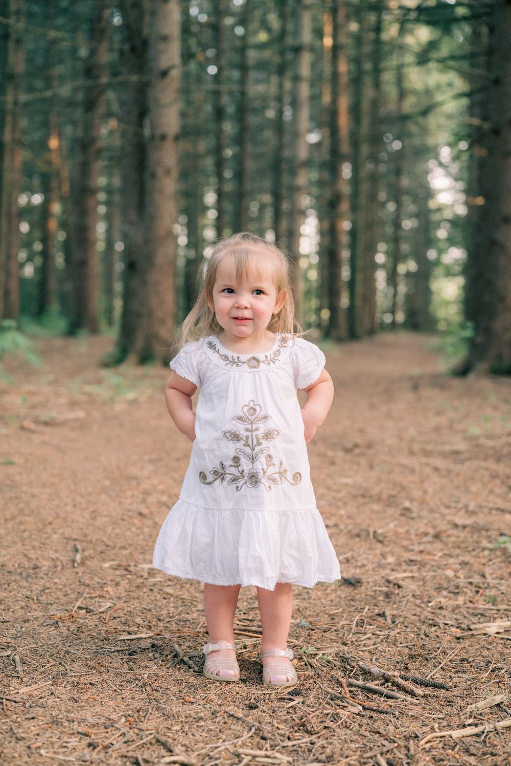 A small child wearing a white dress standing on a pine needle-covered forest path.