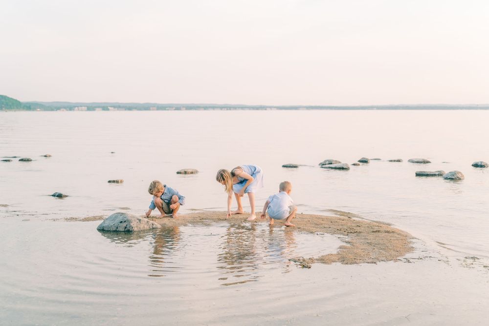 People exploring tide pools and rocks in shallow water during a beach outing.