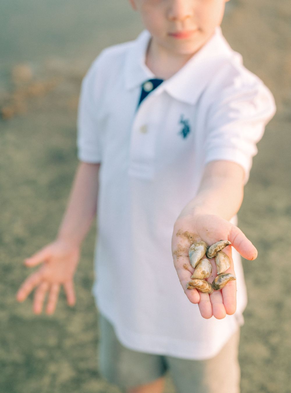 Child in white polo showing a handful of seashells collected from beach.