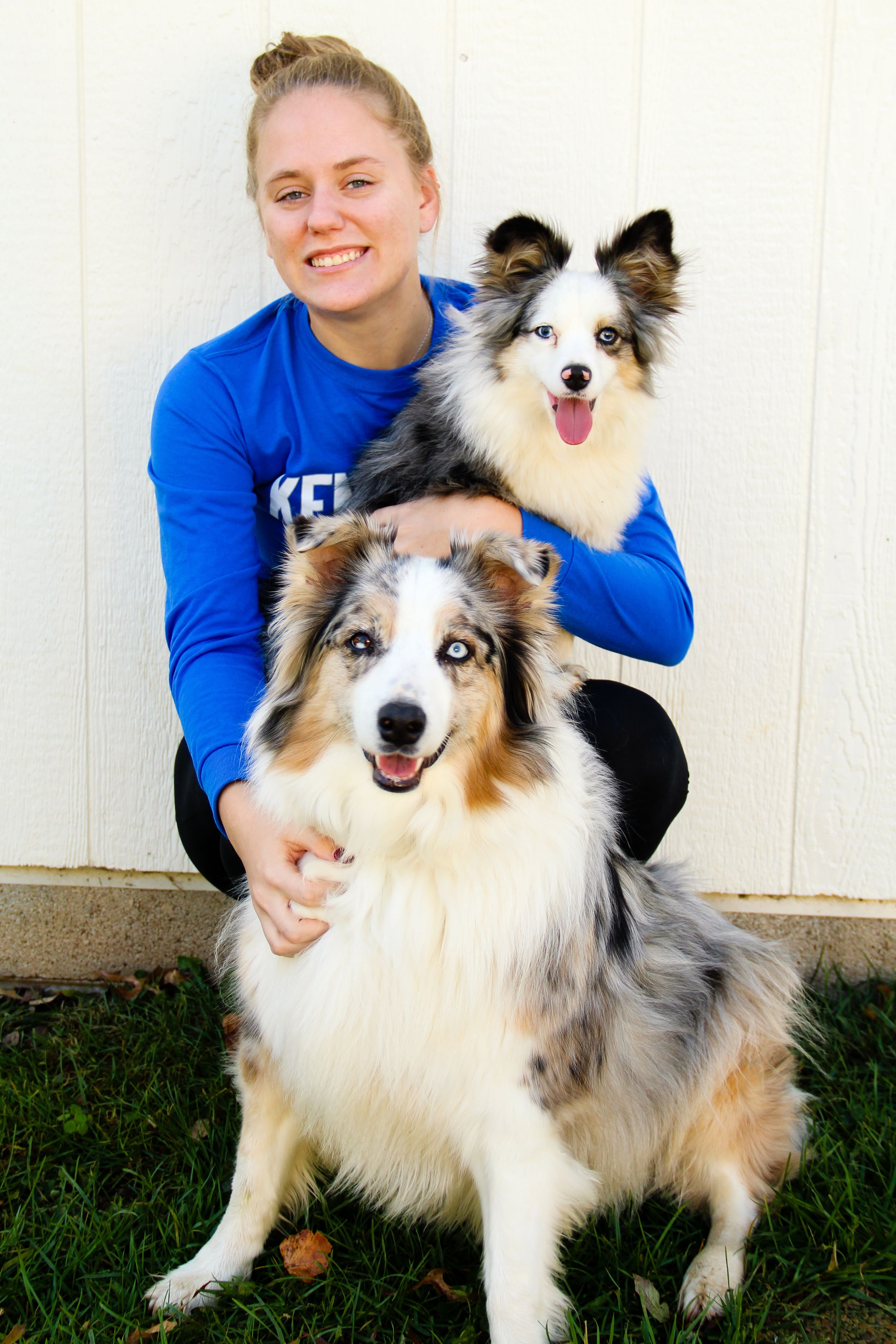 dogs, puppy, dog, puppies, portrait