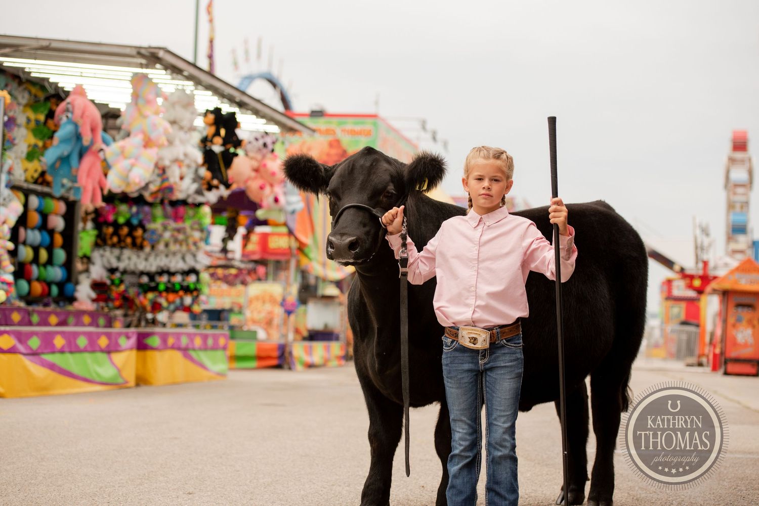 A young exhibitor poses with their black show cow at a carnival fairground.