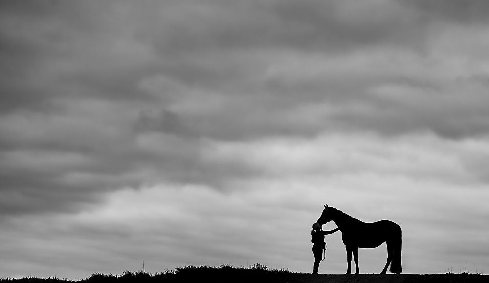Hest og menneske, hest er best, silhuett, svart hvitt fotografi, hestefoto, hestefotgraf i bærum