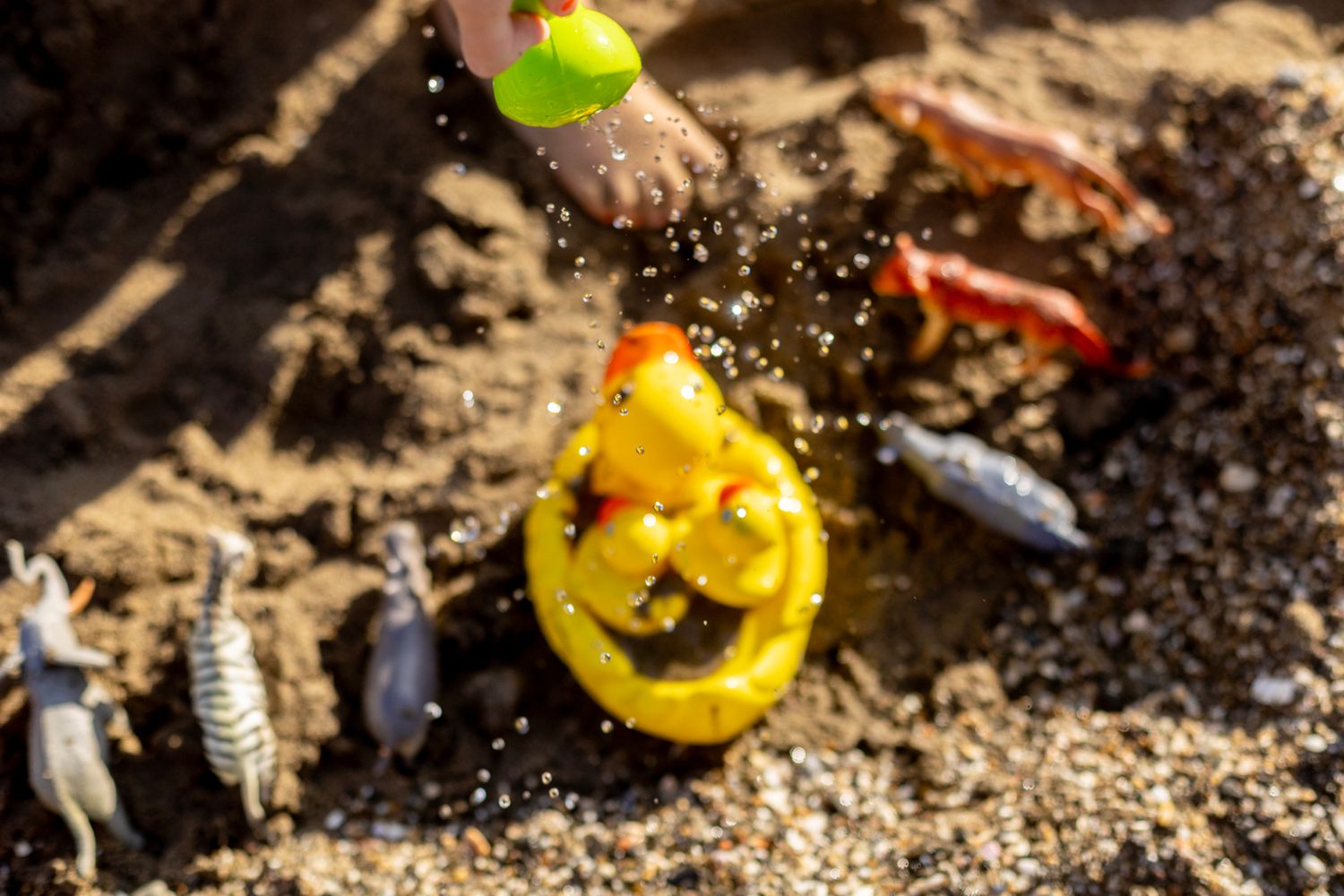 A child pours water onto toy animals and a yellow rubber duck in the sand, creating a playful splash during beachside imaginative play.