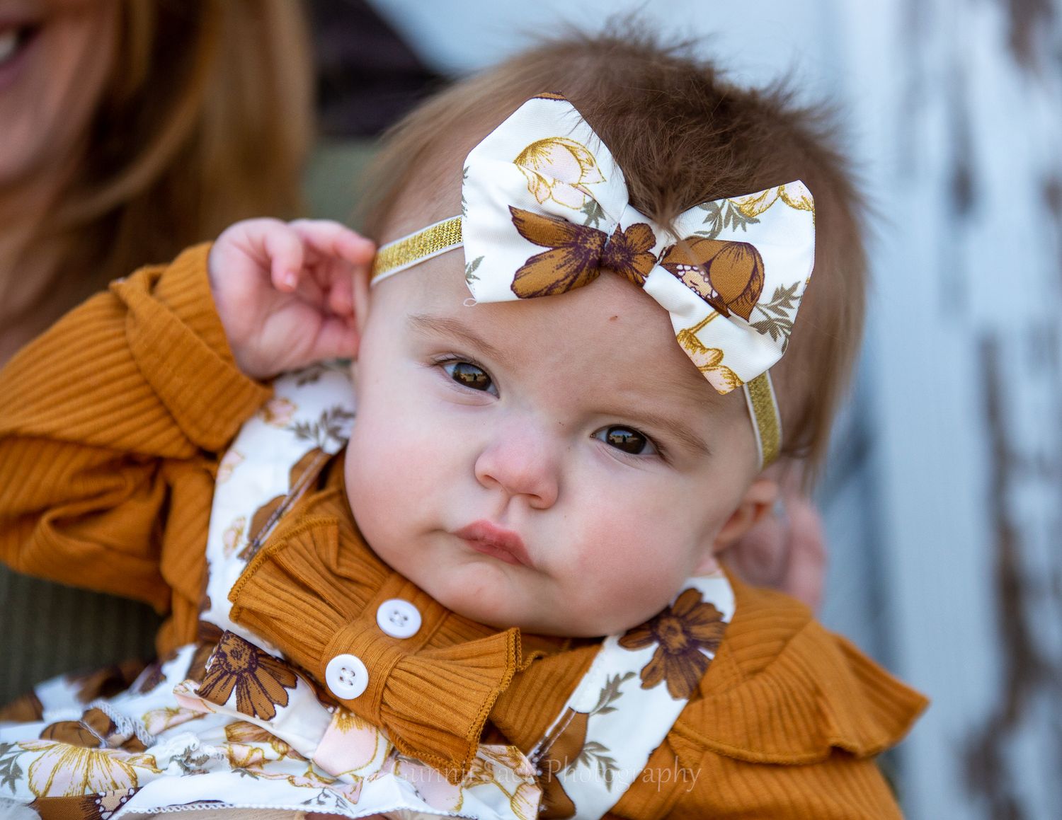 gunnii sack photography, sutter creek ca, best of calaveras, fall family photos