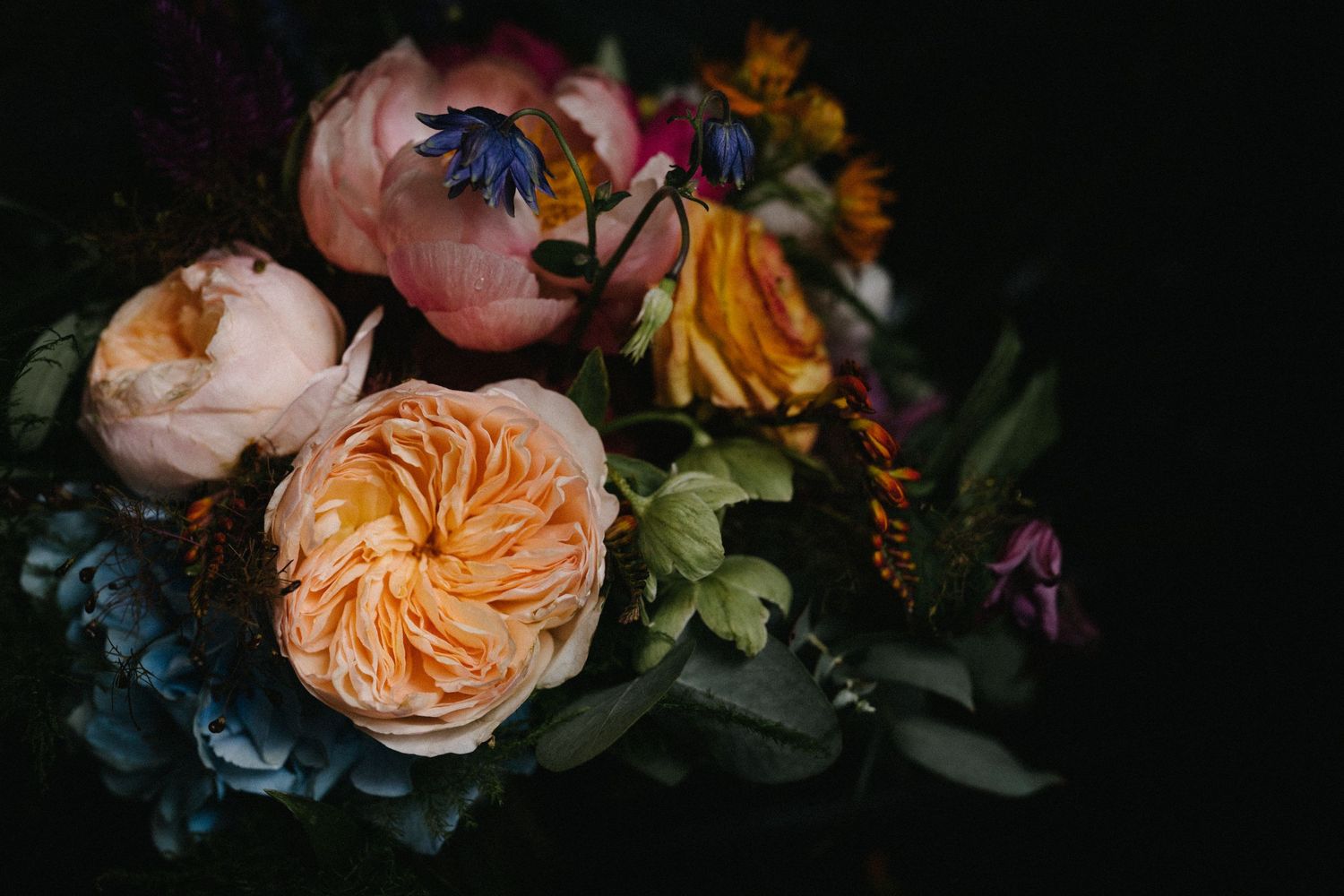 Moody floral arrangement with peach garden roses and mixed flowers against dark background.