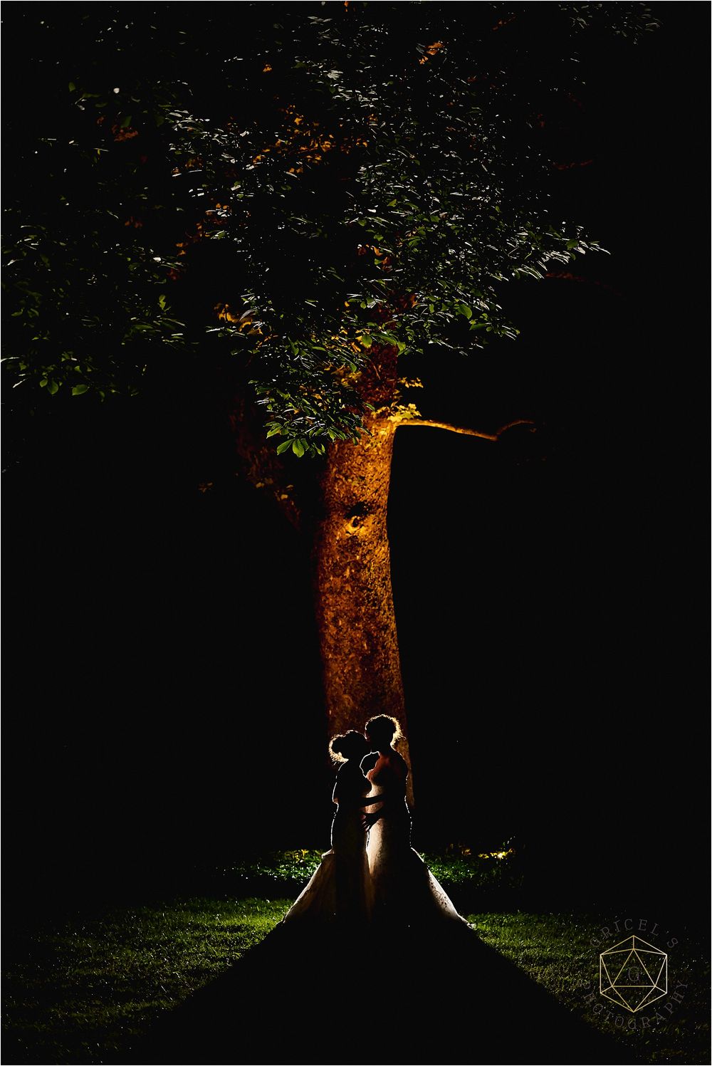 A silhouetted couple embraces under an illuminated tree at night creating a romantic wedding portrait.