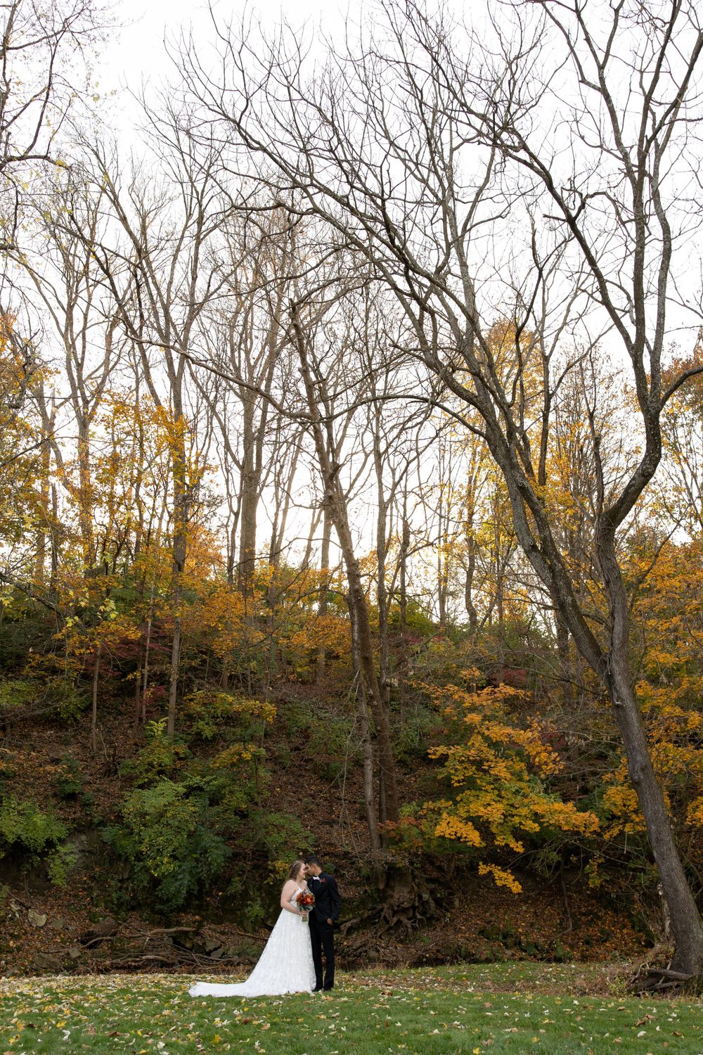 Wedding couple stands beneath tall autumn trees on grassy lawn in dramatic wide shot.