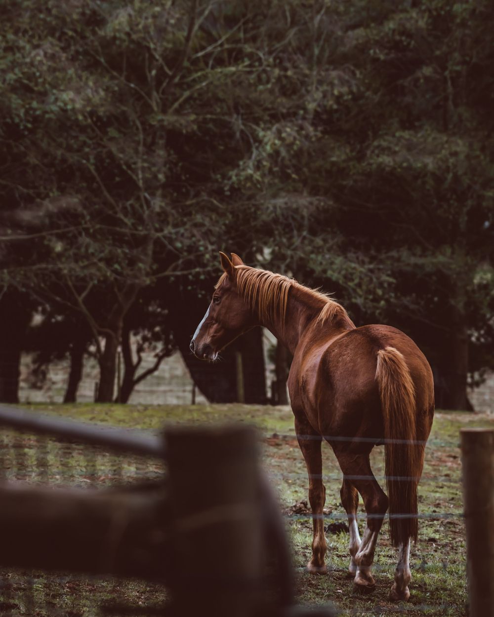 Spurlo Style Photography | Paul Spurling Photographer | Melbourne