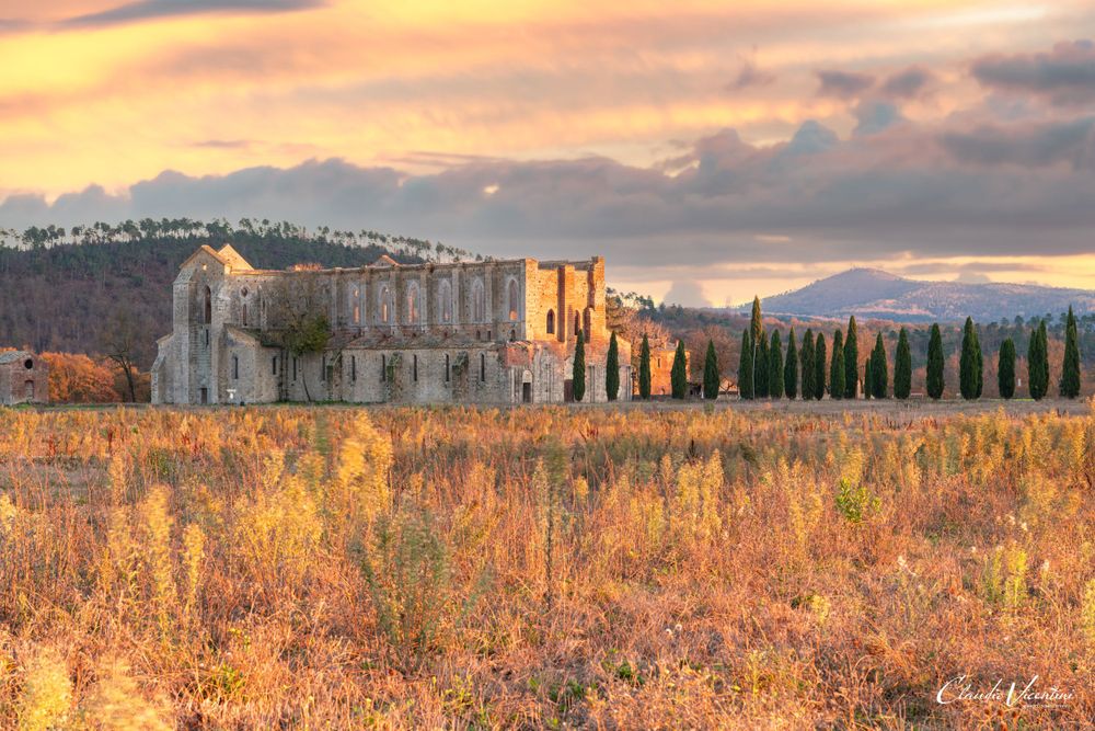 San Galgano Abbey (Tuscany) © Claudio Vicentini Photographer