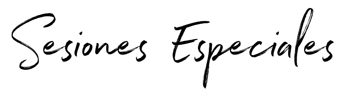 Elegant cursive script text reading Sesiones Especiales on a clean white background.