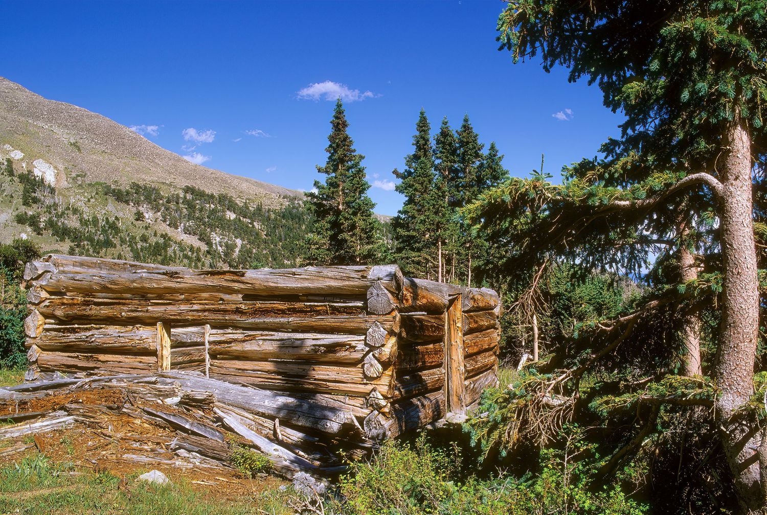 Cree's Camp, Colorado