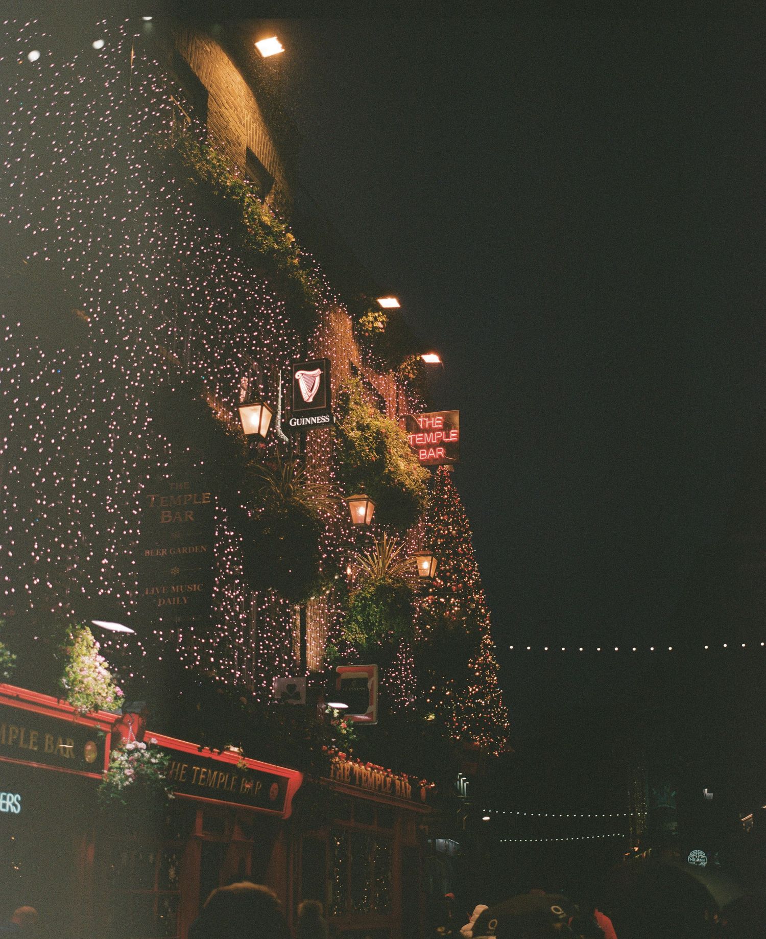 Building facade covered in festive holiday lights creating a magical nighttime display.
