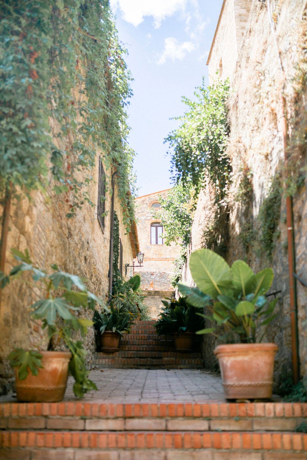 Charming stone stairway with potted plants leading up between old Mediterranean buildings.