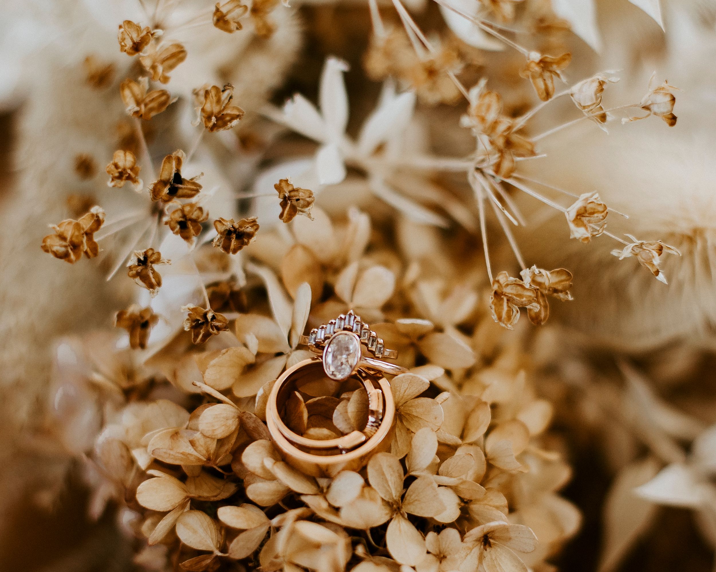 d6f5dacaab8376862964177b24976ea0-776f757