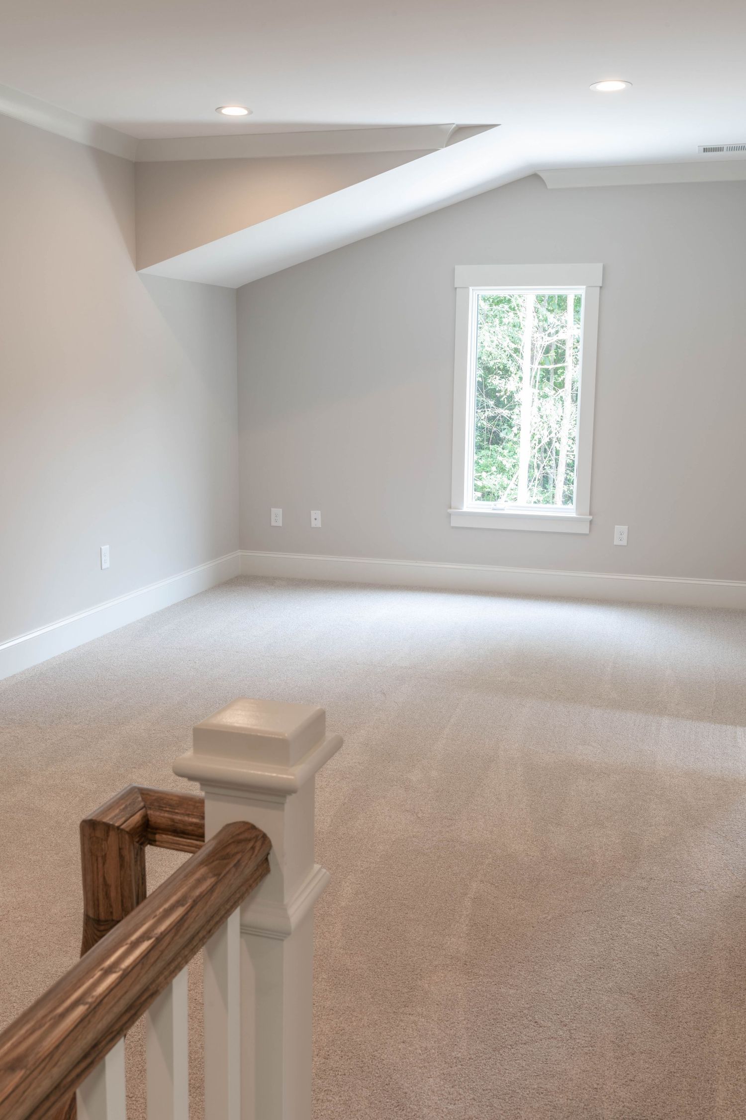 Spacious upstairs bonus room with beige carpet, sloped ceiling, and large window overlooking trees.