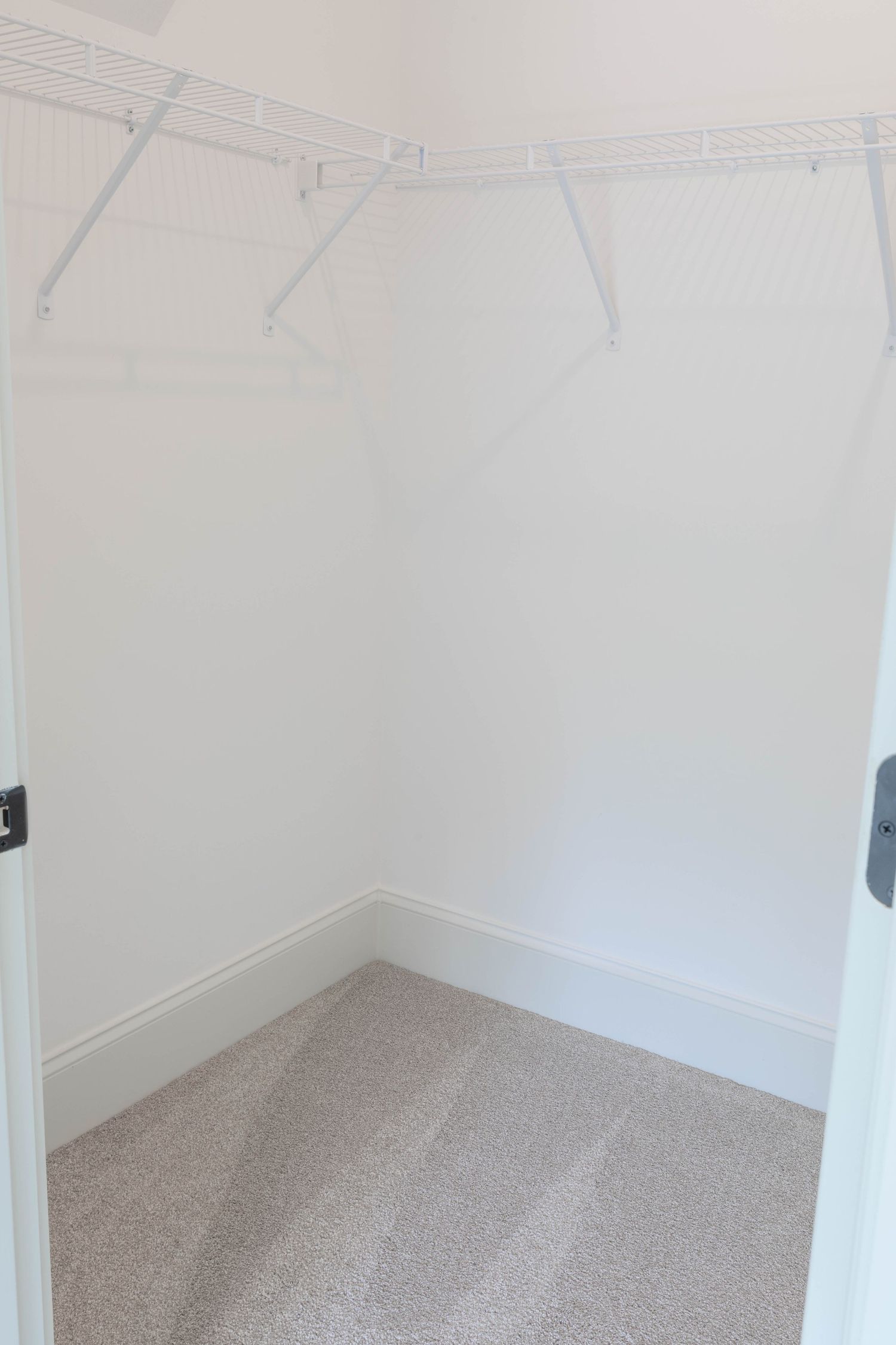 Walk-in closet with white wire shelving system and beige carpeted flooring.