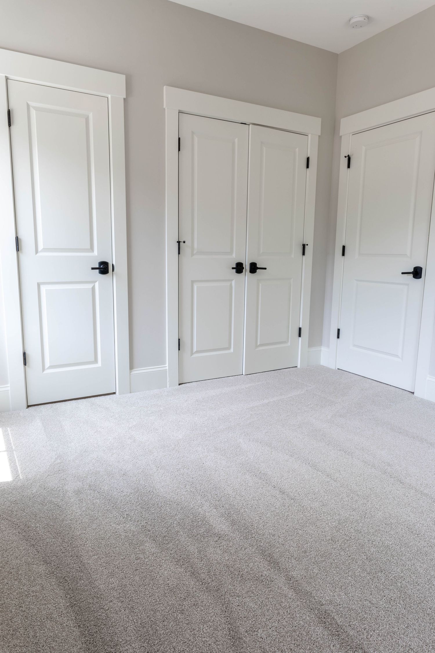 Modern bedroom with white doors, grey walls and plush carpeting showing clean minimalist design.