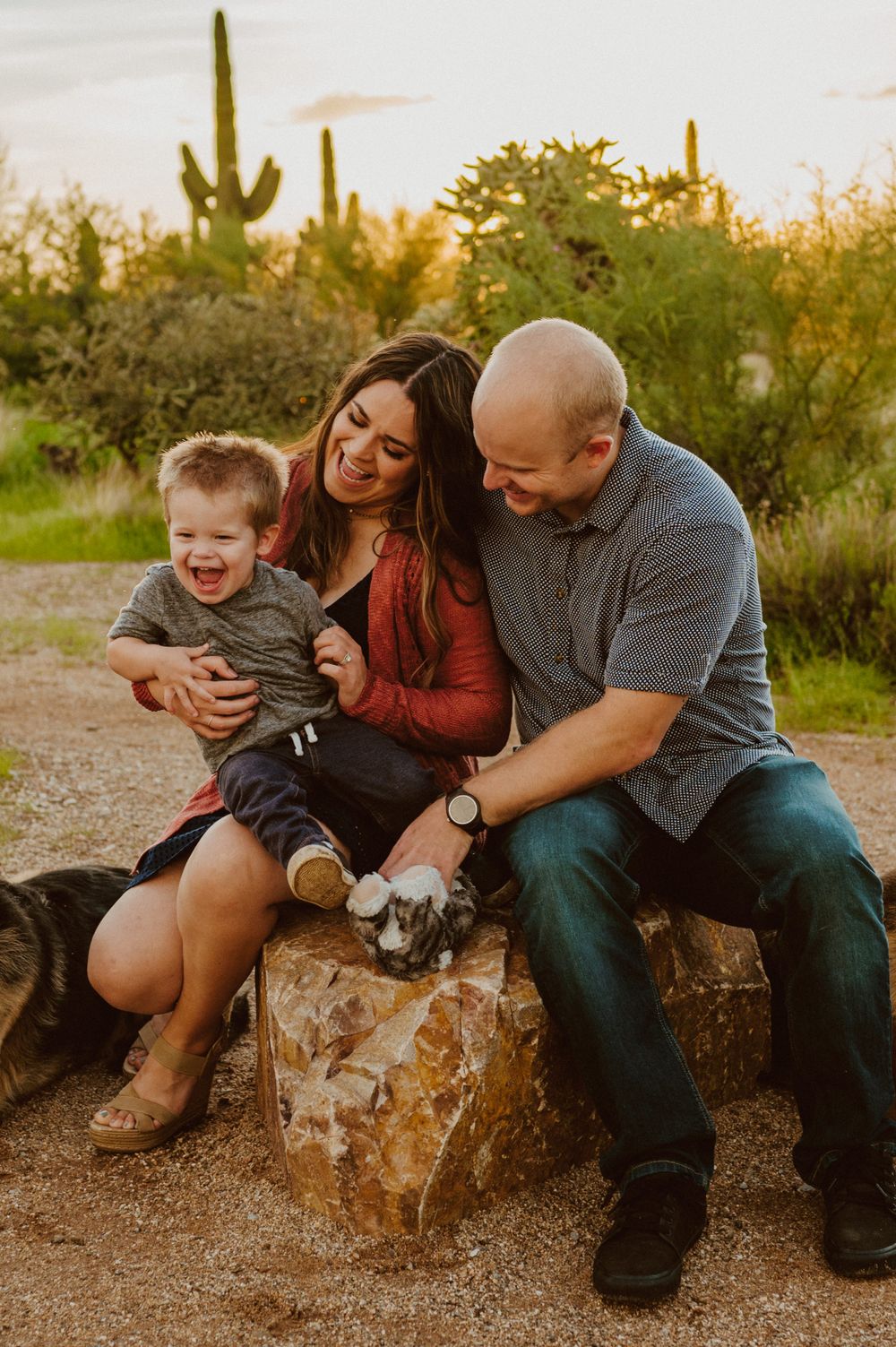 A joyful family moment captured while sitting on rocks in a desert setting with their dogs.