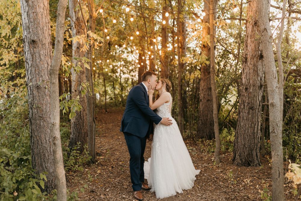 Bride and groom sharing a kiss among tall trees with warm golden sunset light.
