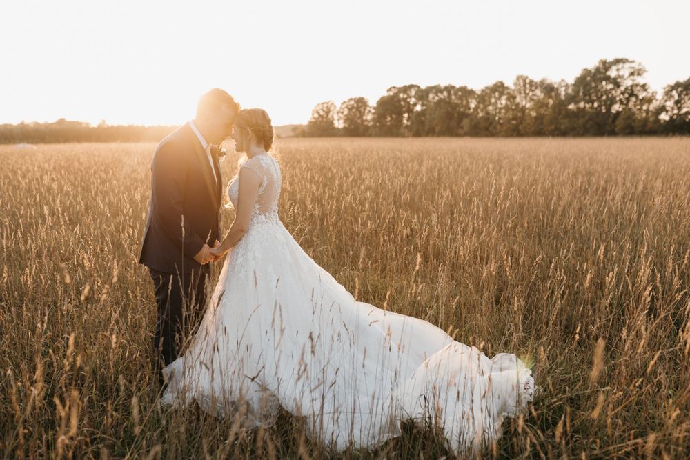 Romantic bride and groom embrace in a sunlit golden wheat field at sunset with trees in background.