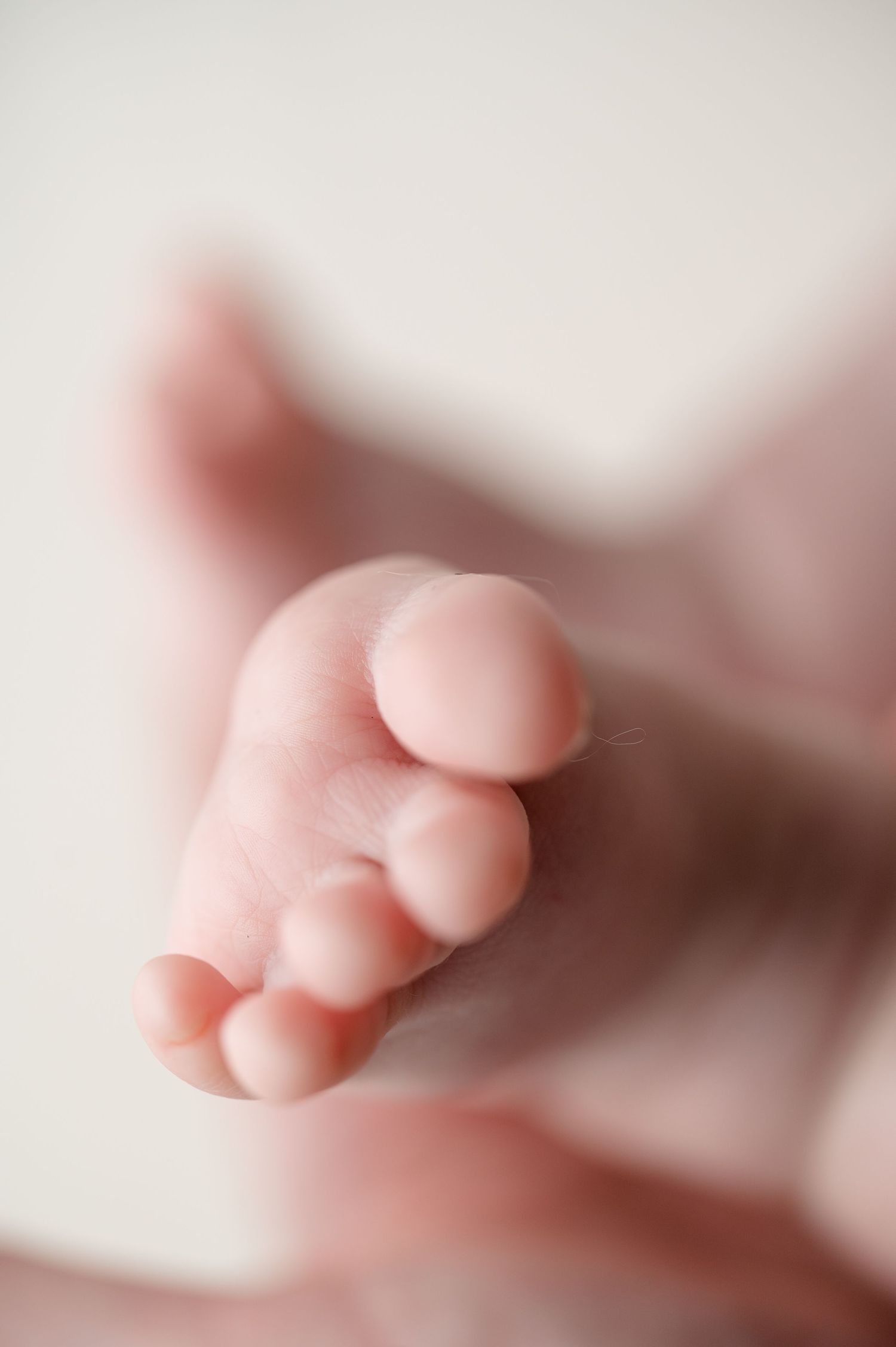 Artistic macro shot of a baby's small toes with soft focus background.