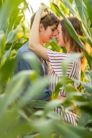 Young couple sitting close together touching foreheads in a lush green cornfield.