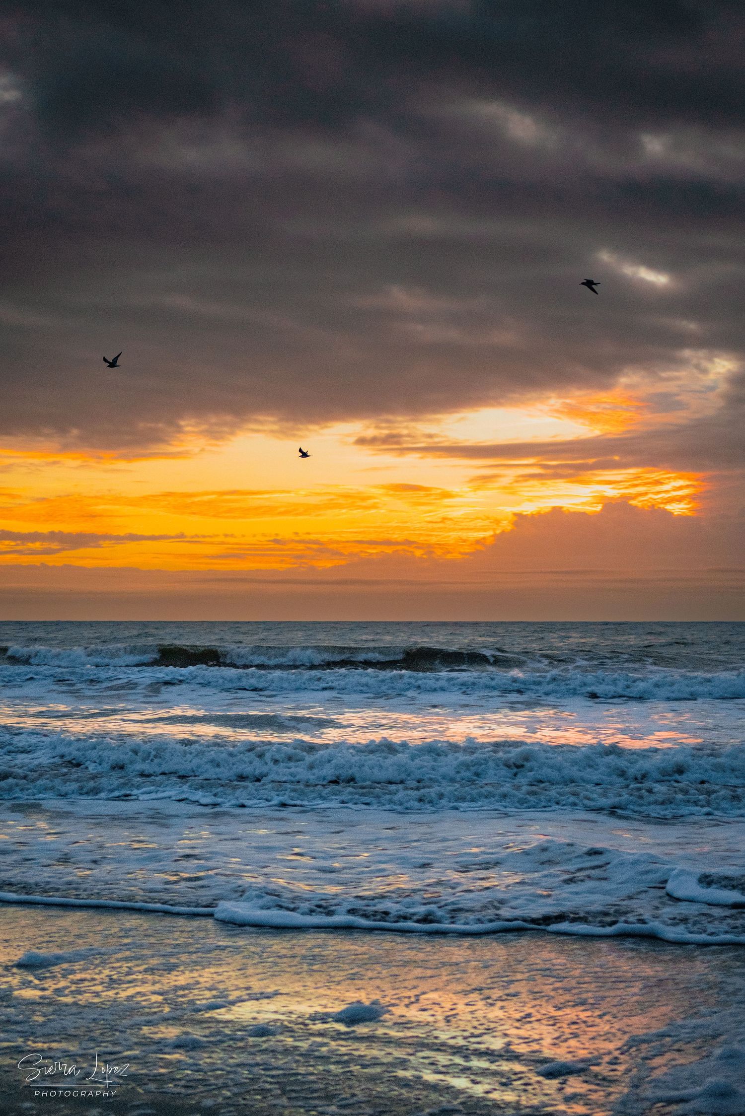 Hilton Head Island environmental photography capturing space, texture, and composition, photographed by Sierra Lopez Productions.