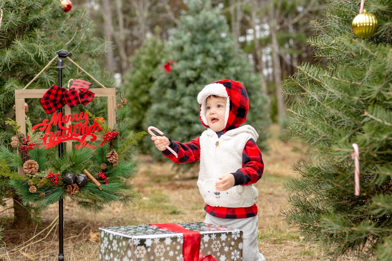 toddler christmas photo tree farm flannel sweater presents holding candy cane